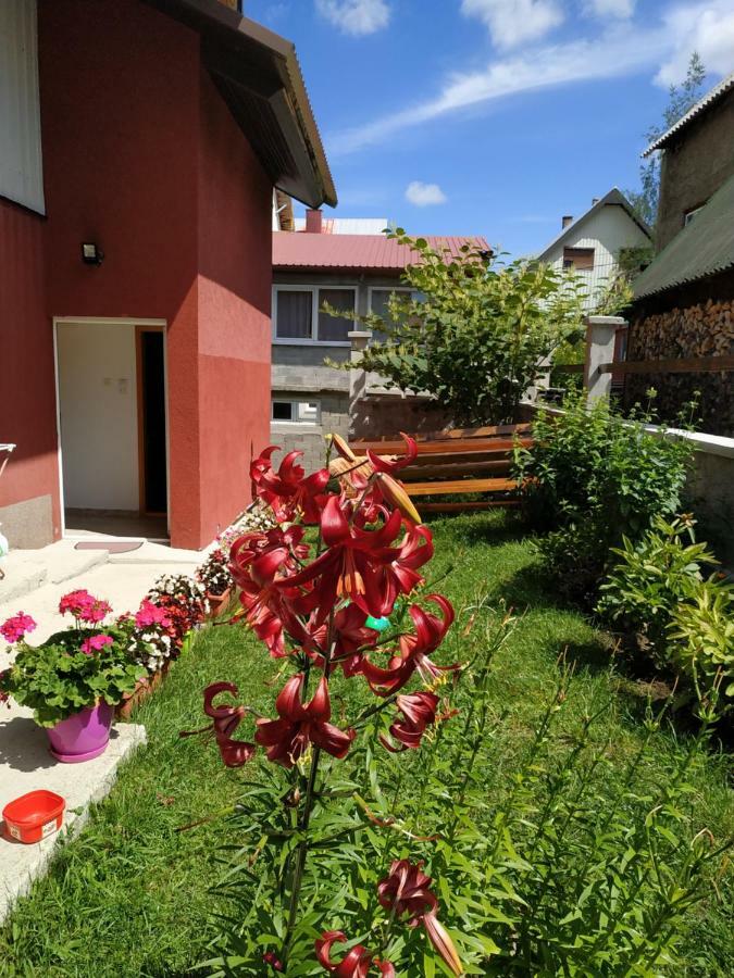 Apartments Bozovic Жабляк Экстерьер фото